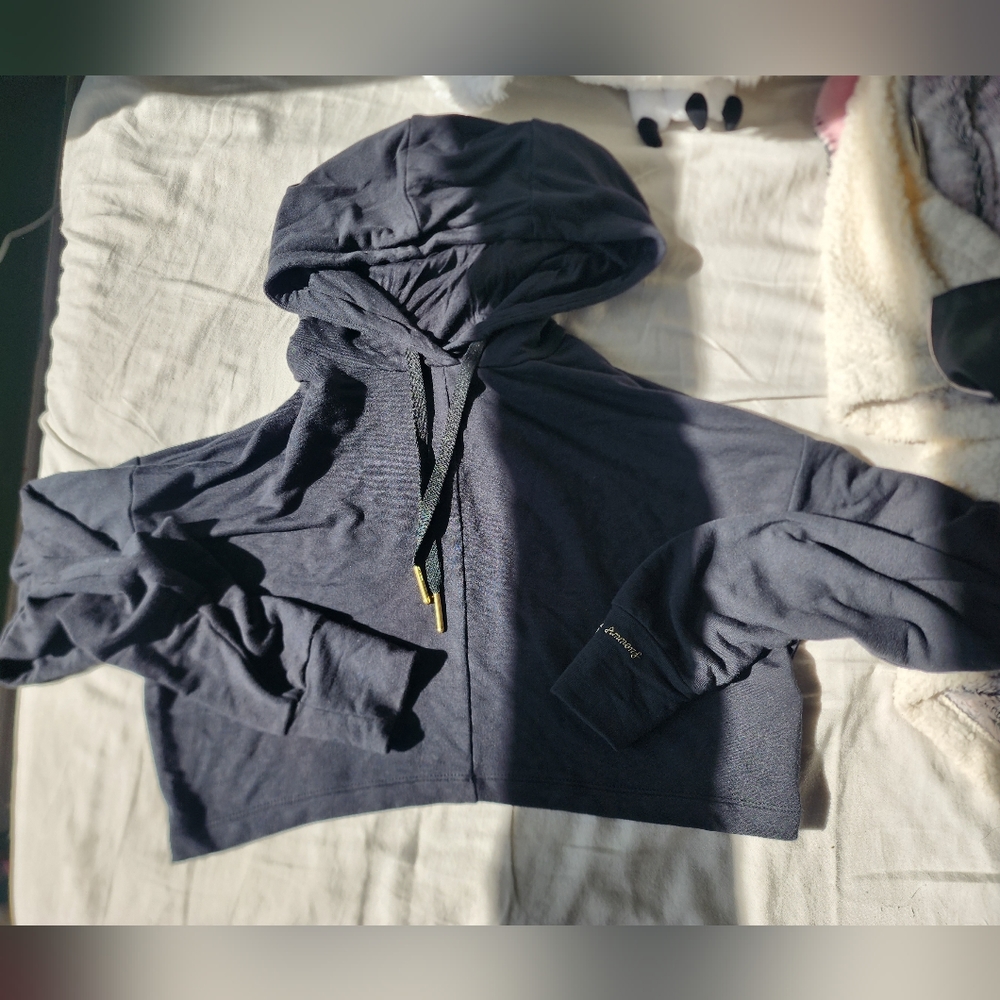 Gymshark Whitney Simmons cropped hoodie